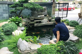 Tại sao cần cải tạo hồ koi đạt chuẩn chất lượng? Dịch vụ ở đâu tốt?