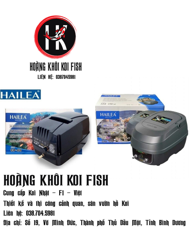 Sủi tích điện Hailea